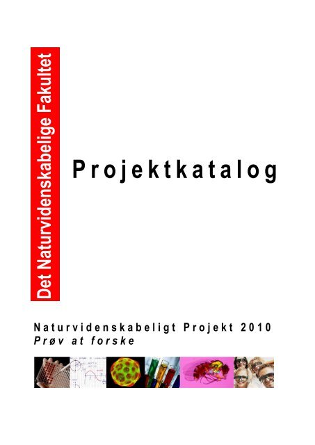 PROJEKTKATALOG 20100125.pdf - Institut for Matematik og ...