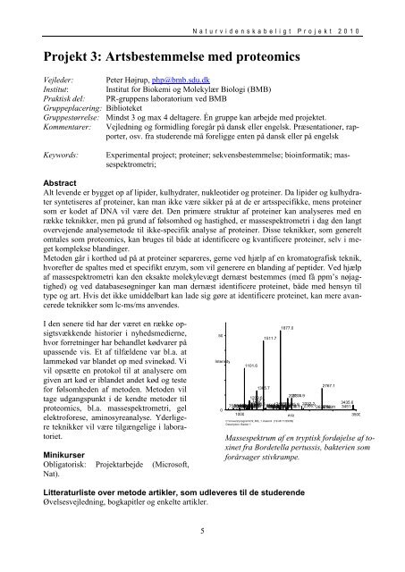 PROJEKTKATALOG 20100125.pdf - Institut for Matematik og ...