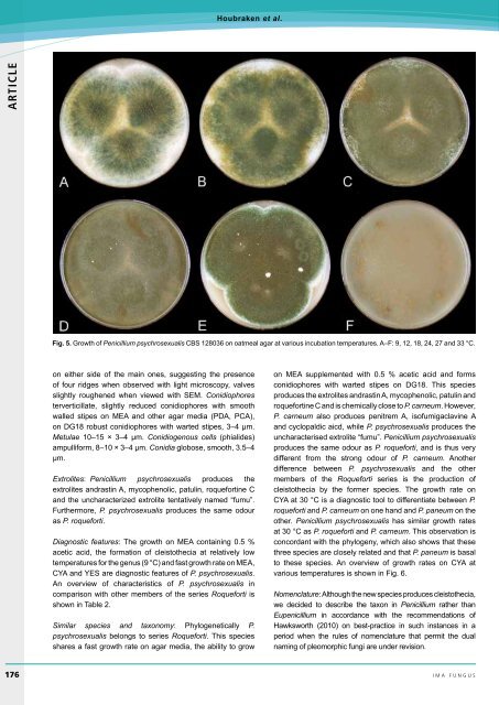 Volume 1 Â· No. 2 Â· December 2010 V o lu m e 1 Â· N o ... - IMA Fungus