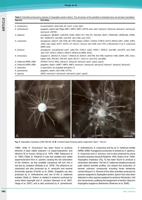 Volume 1 Â· No. 2 Â· December 2010 V o lu m e 1 Â· N o ... - IMA Fungus