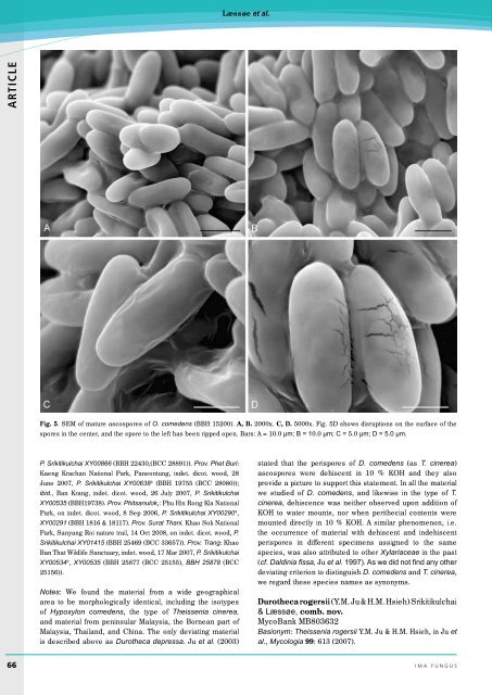 Complete issue - IMA Fungus