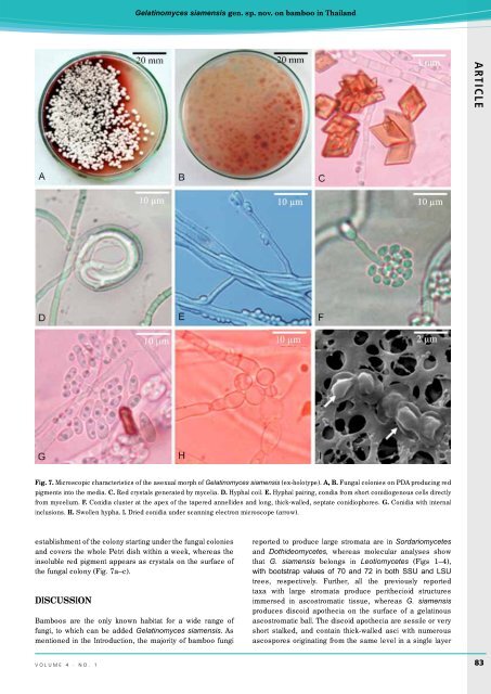 Complete issue - IMA Fungus