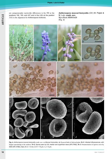 Complete issue - IMA Fungus