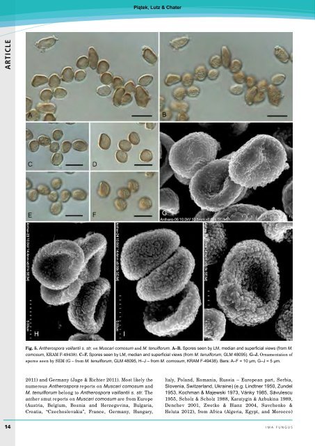 Complete issue - IMA Fungus