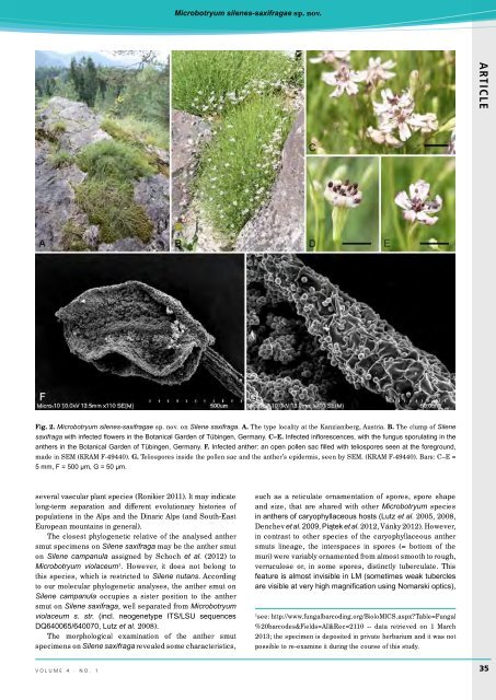 Complete issue - IMA Fungus