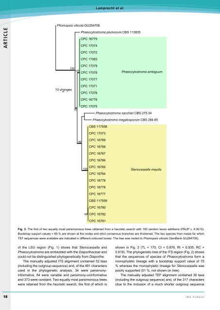 Lamprecht SC, Crous PW, Groenewald JZ ... - IMA Fungus