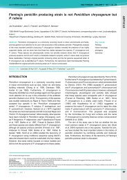 Fleming's penicillin producing strain is not Penicillium - IMA Fungus