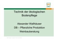 Bodenpflege im ökologischen Weinbau Alexander Wallhäuser.pdf