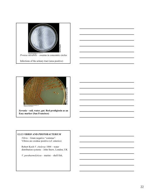 Brock Biology of Microorganisms