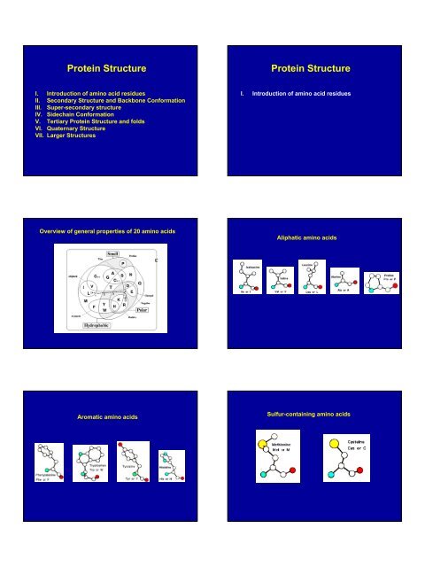 1 Protein Structure Protein Structure