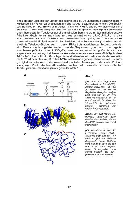 Jahresbericht 2003 - Leibniz Institute for Age Research