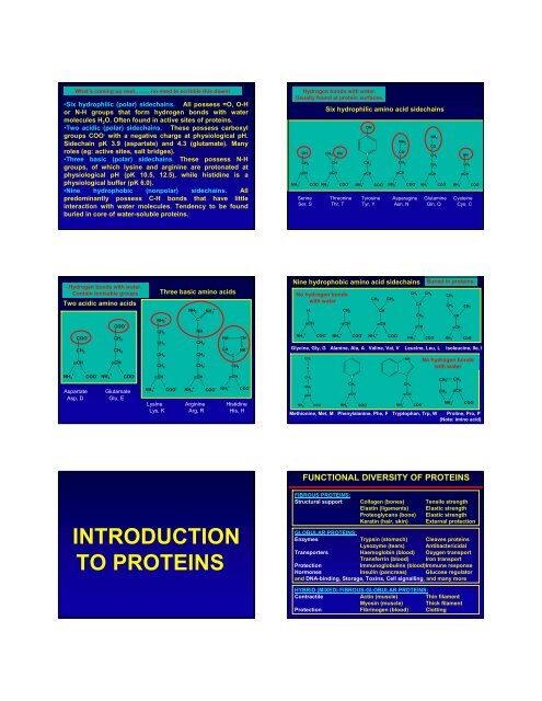 MAINCHAIN PART OF AMINO ACIDS