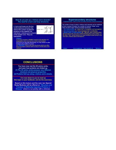 MAINCHAIN PART OF AMINO ACIDS