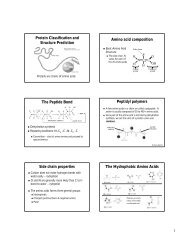 Protein Classification and Structure Prediction Amino acid ...