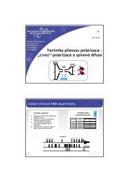 Techniky přenosu polarizace – „cross“-polarizace a spinová difuse