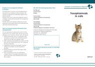 Toxoplasmosis in cats - IMD Berlin