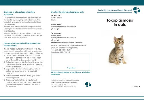 Toxoplasmosis in cats - IMD Berlin