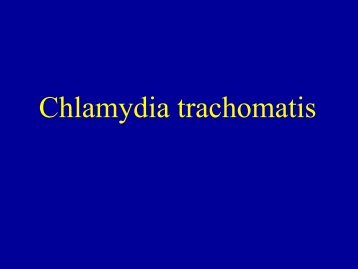 Chlamydia trachomatis - IMEA