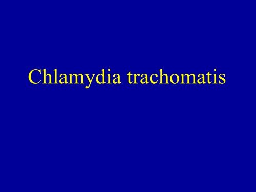 Chlamydia trachomatis - IMEA