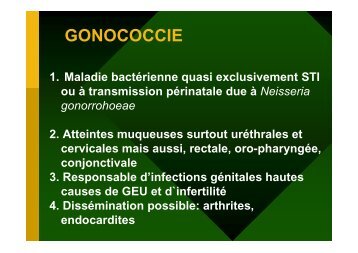 GONOCOCCIE - IMEA
