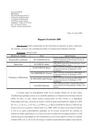 Rapport intermÃ©diaire - IMEA