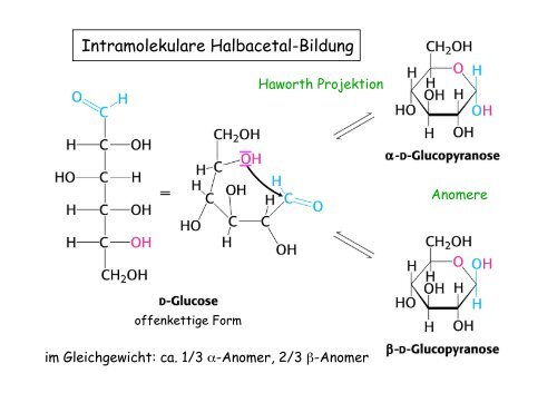 Kohlenhydrate