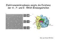 Vorlesung 24.11.