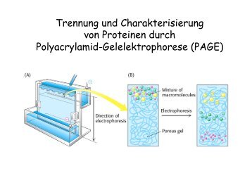 Vorlesung 26.10.