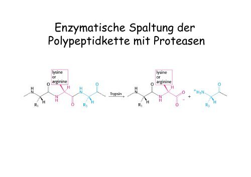 Vorlesung 26.10.