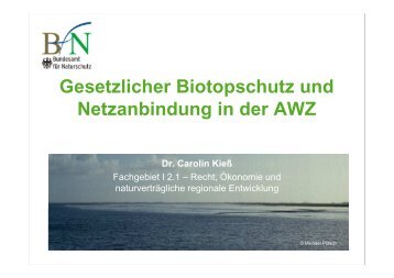 gesetzlicher Biotopschutz