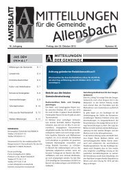 Bericht aus der letzten Gemeinderatssitzung Achtung ... - Allensbach