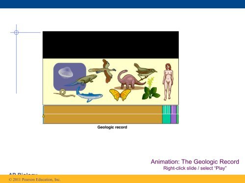 Chapter 25 Slides Sections 1-3