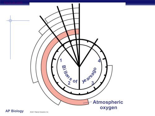 Chapter 25 Slides Sections 1-3