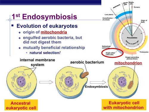 Chapter 25 Slides Sections 1-3