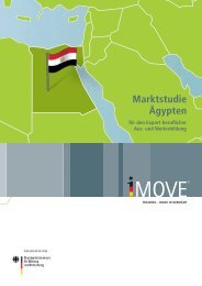 Marktstudie Ägypten für den Export beruflicher Aus- und Weiterbildung