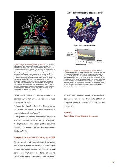 IMP Research Report 2002