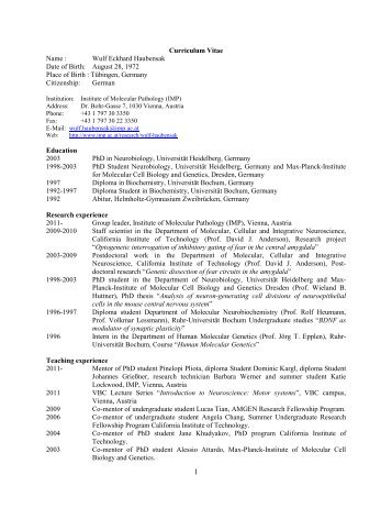 Scientific CV in PDF format - IMP