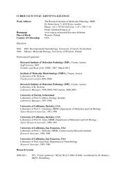 Scientific CV in PDF format - IMP