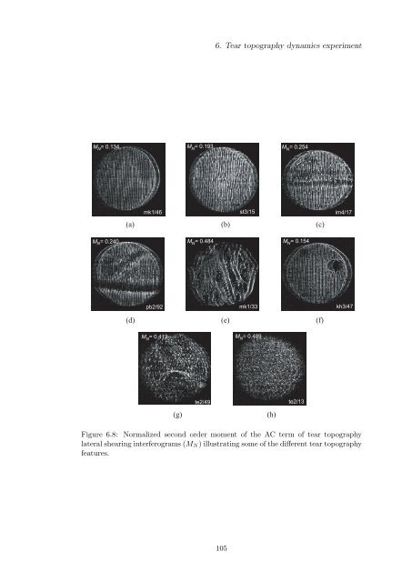 Alfredo Dubra's PhD thesis - Imperial College London