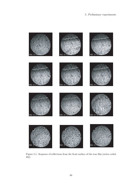 Alfredo Dubra's PhD thesis - Imperial College London