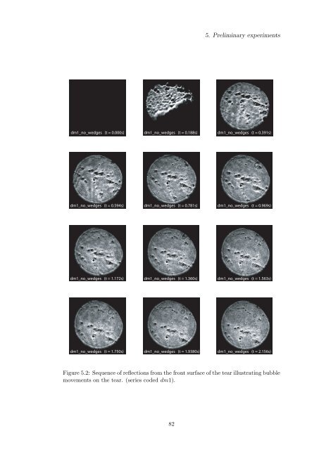 Alfredo Dubra's PhD thesis - Imperial College London