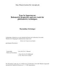Type Ia Supernovae - International Max Planck Research School on ...