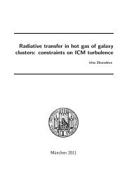 Radiative transfer in hot gas of galaxy clusters - International Max ...