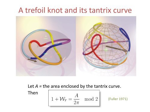 Applications of Braid Theory