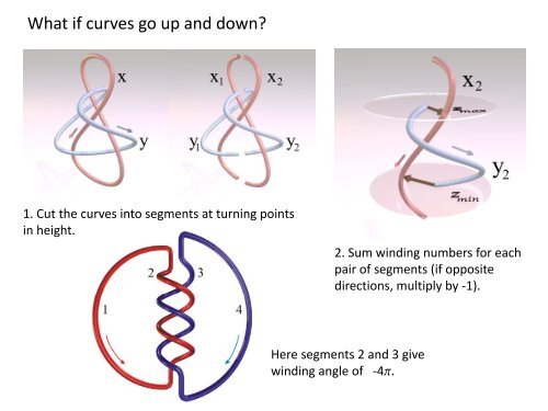 Applications of Braid Theory