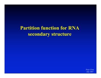 Partition function for RNA secondary structure