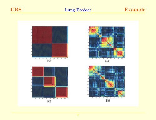 DNA copy numbers and the Circular Binary Segmentation Algorithm