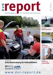 Schriftenreihe Verkehrssicherheit 14: â€žRisiko rausâ€œ â