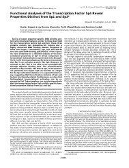 PDF-File - IMT - Philipps-UniversitÃ¤t Marburg