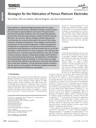 Strategies for the Fabrication of Porous Platinum Electrodes